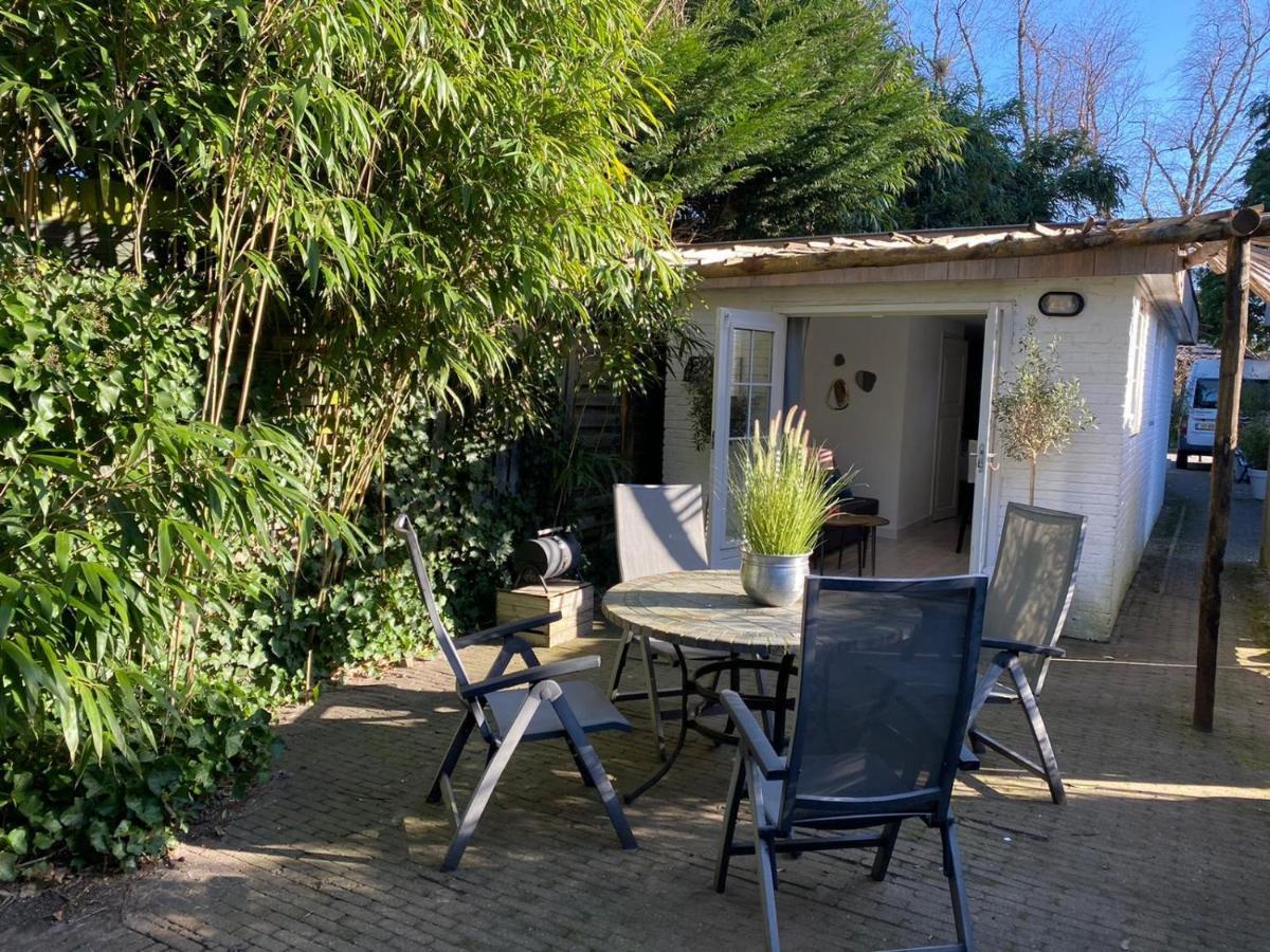 Studio Lief Bergen Binnen, Bij Bos Duin En Dorp Exteriér fotografie