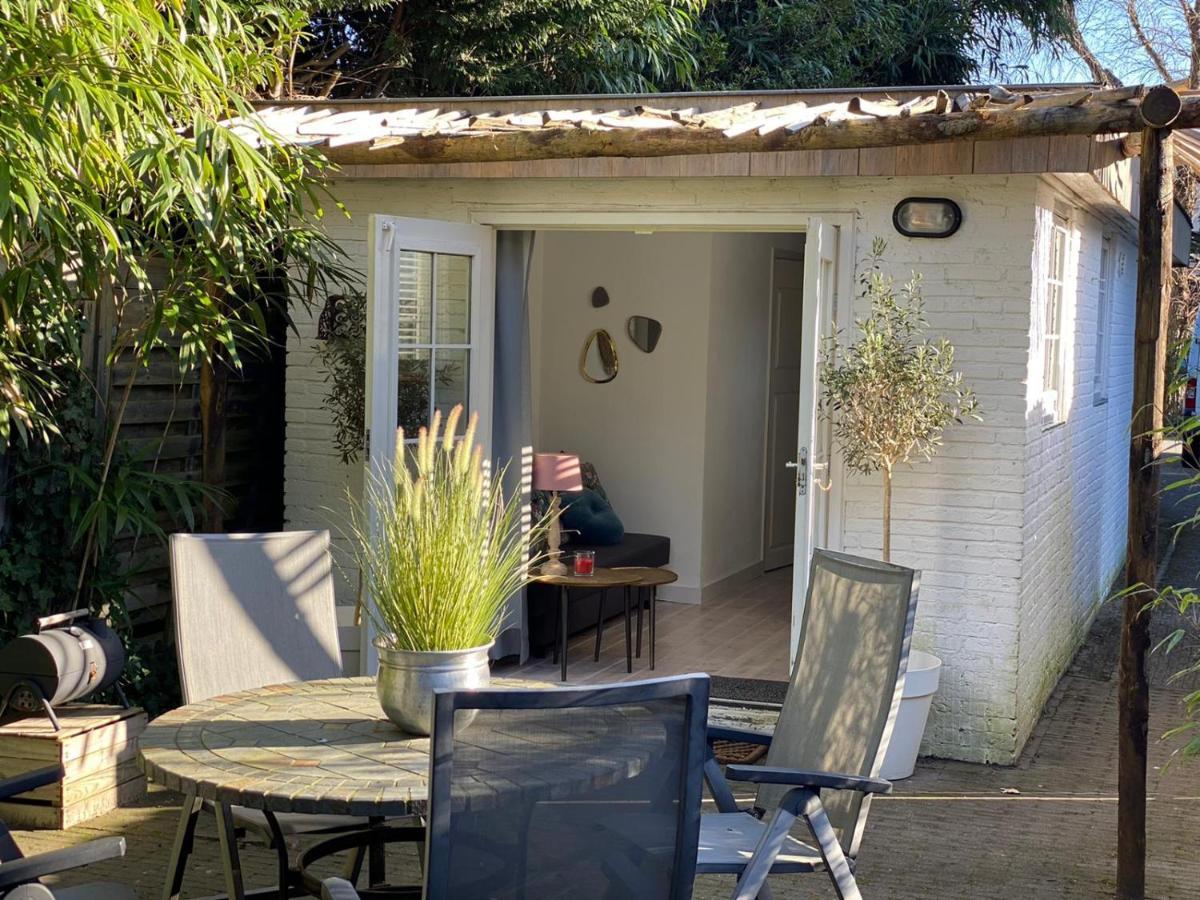 Studio Lief Bergen Binnen, Bij Bos Duin En Dorp Exteriér fotografie