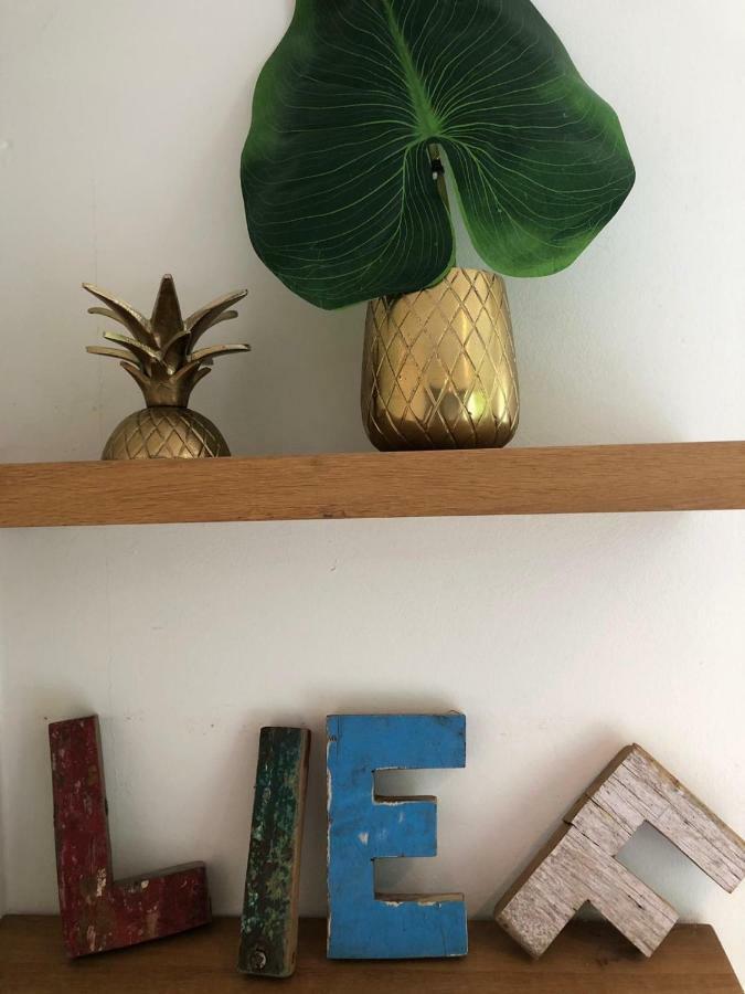 Studio Lief Bergen Binnen, Bij Bos Duin En Dorp Exteriér fotografie